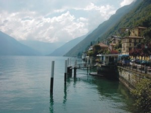 comosee Comosee
