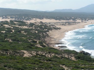 Costa verde