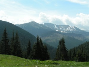 Bucovina