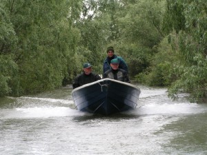 Im Donaudelta